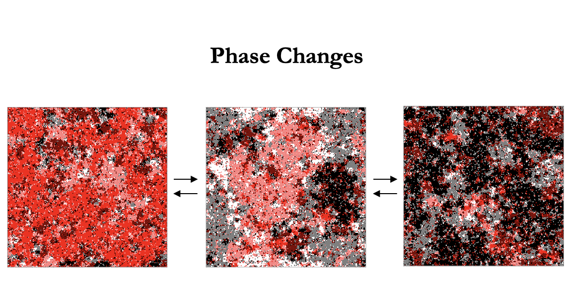 Seminario DFI: Phase transition and Self-organization of cluster in the Q2R- Potts cellular automaton